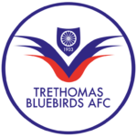 Trethomas Bluebirds FC