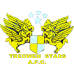 Treowen Stars